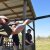 West Delta 32 Clay Shoot
